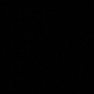 Meet your Posher, Shealyn